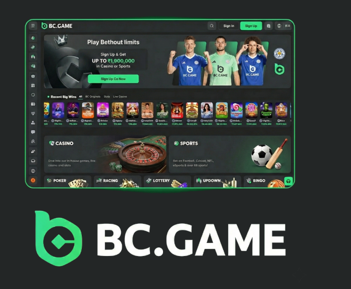 Comprehensive Guide to the BC.Game Registration Process Comprehensive Guide to the BC.Game Registration Process